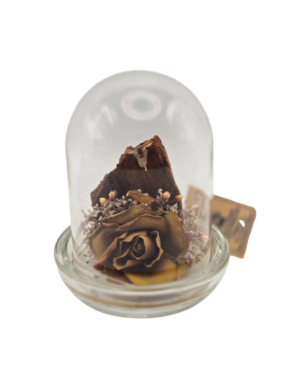 Colorado Naturals Real Flower and Wood Glass Dome Display Handmade USA Souvenir